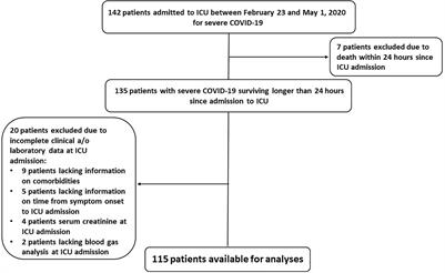 The Association of New-Onset Acute Kidney Injury and Mortality in Critically Ill Patients With COVID-19 With Less Severe Clinical Conditions at Admission: A Moderation Analysis